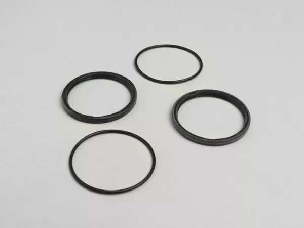 Oil seal set -POLINI Speed Drive- Piaggio 50 cc, Minarelli 50 cc (type Polini Evolution 3/PRE)