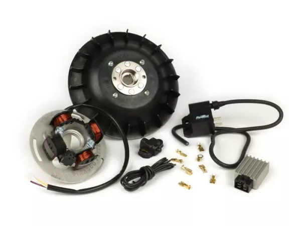Ontsteking -PINASCO Flytech 12V- Vespa Rally180 (VSD1T), Vespa Rally200 (VSE1T - 33996, Femsatronic) - 1600g