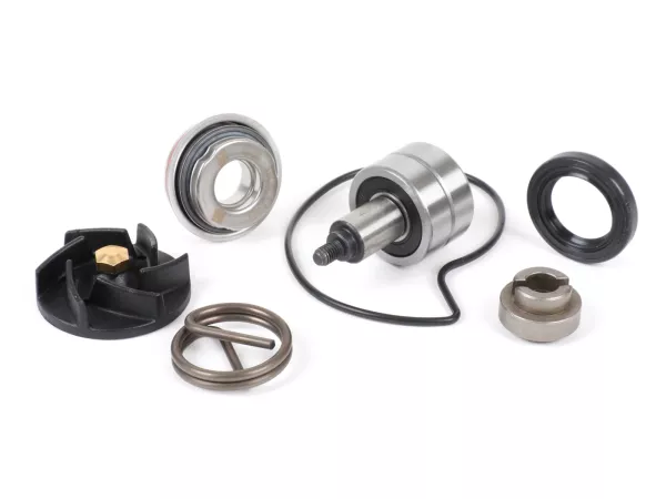 Revideringssats för vattenpump -RMS- Piaggio 250-300 ccm Quasar LC (Type1)
