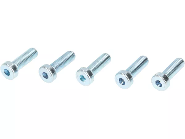 Screw set for front wheel hub 10 -VMC RACING V50 Style- used for mounting Vespa 2.10 inch rim on Vespa ET2, ET4, LX, LXV, S 50-150 - also suitable for PIAGGIO Hexagon, Sfera RST, ZIP II, ZIP SP - silver