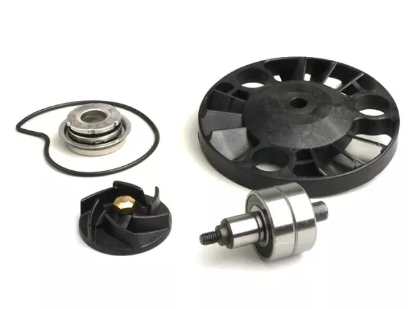 Översynssats för vattenpump -RMS- Piaggio 125-200 ccm Leader LC