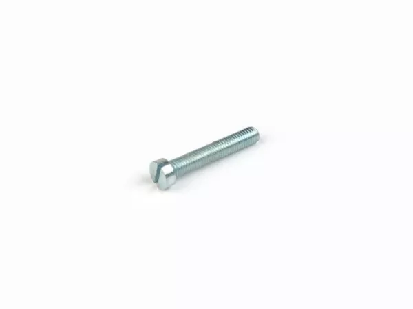 Schroef -DIN 84- M5 x 30 sleuf (gebruikt voor Vespa SI carburateur voorste luchtfilter)