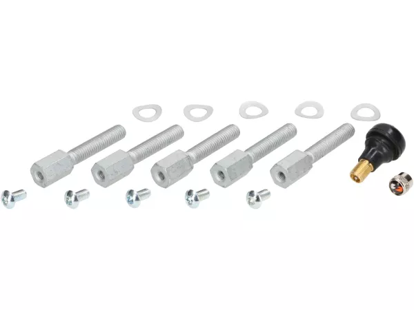 Montageset voor velg (achter) -BGM PRO 13 inch- gebruikt voor Vespa GTS