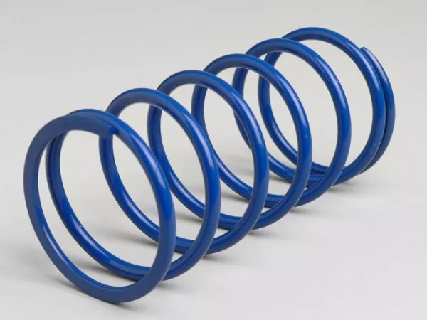 Molla di contropressione -POLINI- Rotax 125-150 ccm