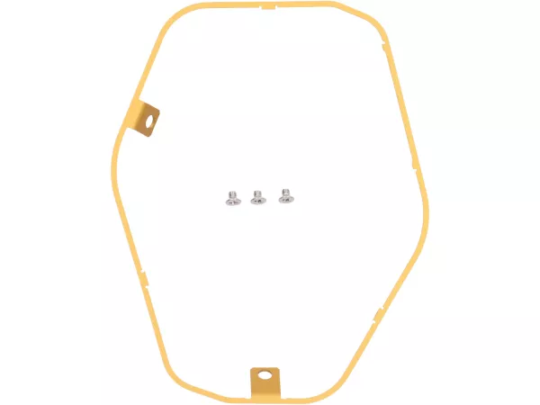 Power Ring for Silencer -REMUS RS 2.0 - Vespa GTS Super HPE 300 (Euro 5, ZAPMD3100, ZAPMD3101, ZAPMD3101) - gold