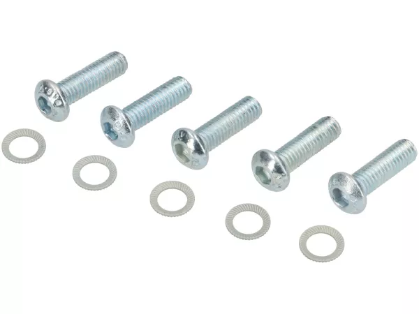 Screw set - M6 x 20 (strength 10.9) - used for brake discs with 5-hole mount, Piaggio, Grimeca, LML disc brakes