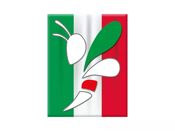 Adesivo - Gel 3D - V-EMBLEM- Grafica vettoriale vespa - verde