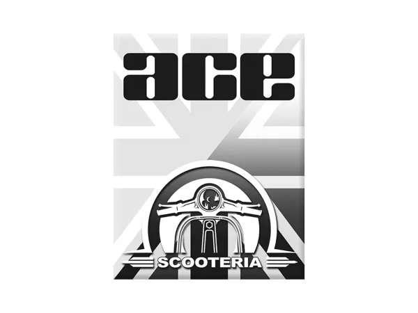 Adesivo - Gel 3D - V-EMBLEM- Scooteria-Ace - grigio