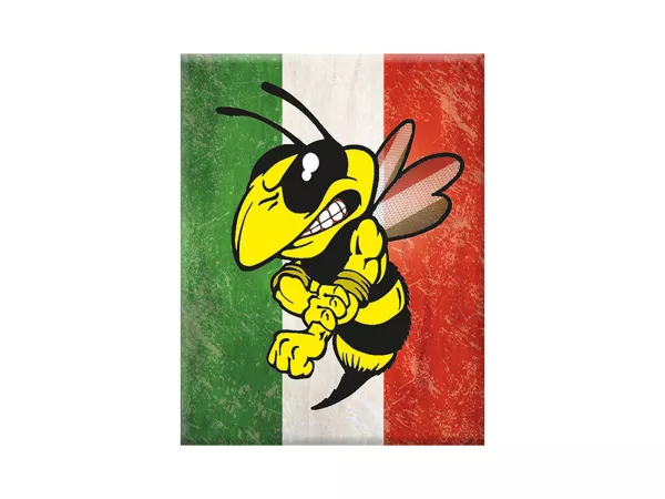 Adesivo - Gel 3D -V-EMBLEM- vespa cattiva su bandiera italiana - verde