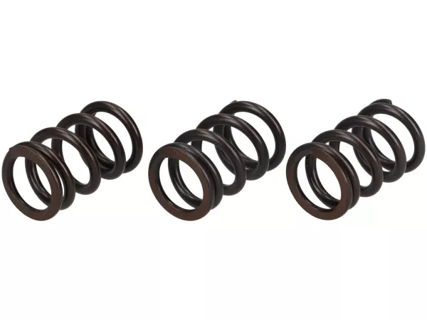 Valve spring set -MALOSSI- Piaggio 3V IGET 50 ie 4T Euro5