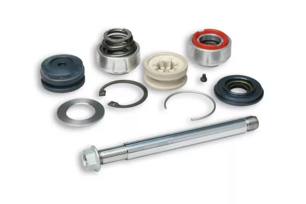 Piston rod kit -MALOSSI- for RS24/10-R - M4614237