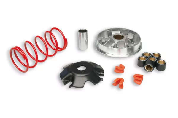 Variomatic -MALOSSI- Multivar 2000 - Yamaha D'elight 115 Euro 3