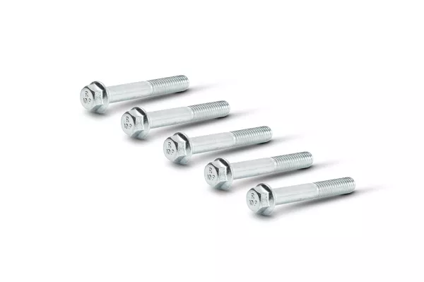 Versnellingsbak schroefset -MALOSSI- Piaggio en Malossi behuizing - M6x40