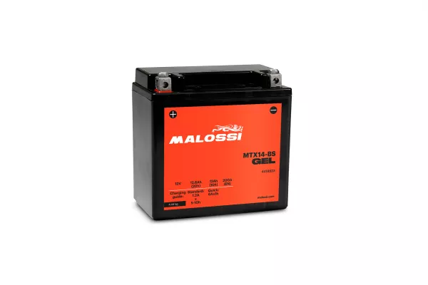 Batería (Gel), sin mantenimiento -MALOSSI- MTX14-BS GEL - 12V 12Ah - 150x87x145mm