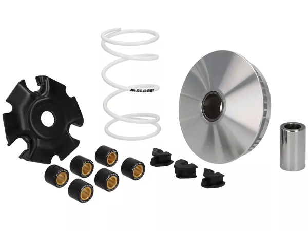 Variomatic -MALOSSI- Multivar 2000 - Vespa GTS HPE 310, Piaggio MP3 HPE 310, Royal Alloy GP 350, TG 350