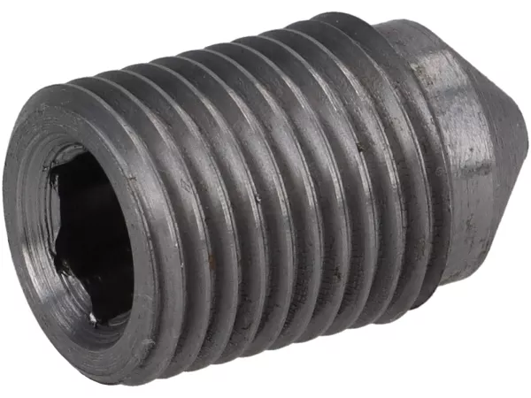 Bleed screw for brake caliper -M10 x 1.0- AJP