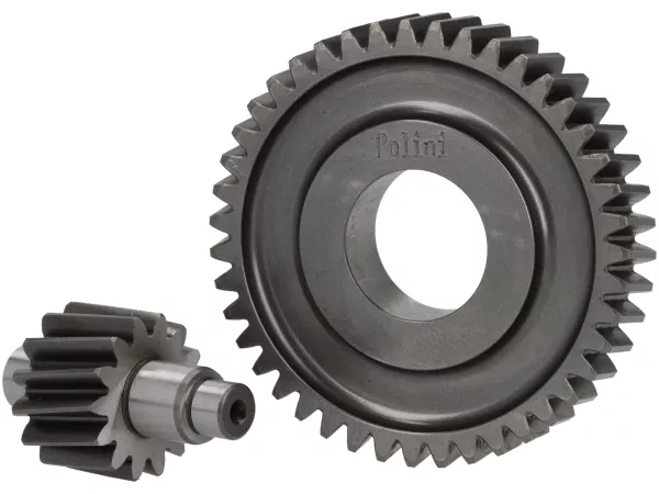 Boite de vitesses secondaire -POLINI- Piaggio 50 IGET E5 - Vespa Primavera 50, Sprint 50, Piaggio Liberty 50 - 14 / 43 = 1:3,07