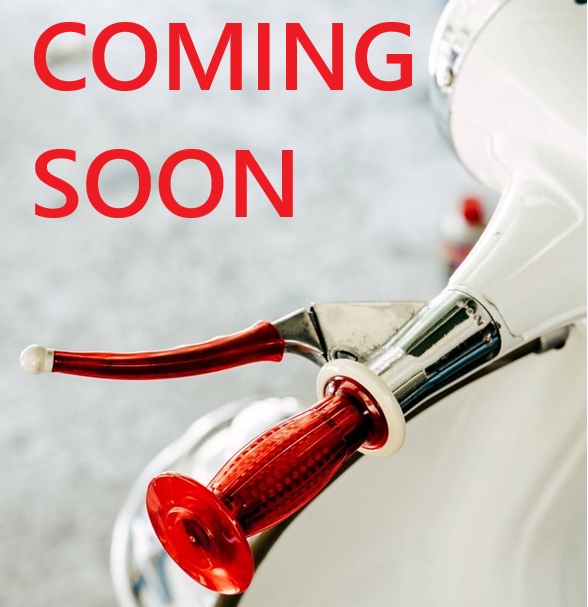 Griffe Lambretta Mod. Biemme -SECURIT ANTIVIBRANTE- Lambretta Serie 1 und 2 – Durchmesser 27mm - grau