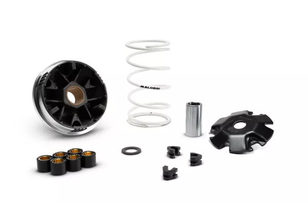 Variomatique -MALOSSI- Multivar 2000 - PEUGEOT Speedfight 3 50 4T, Kisbee 50 4T ie, Tweet 50 4T, SYM Symphony 50 4T, Crox 50 4T- 16x13 - 7.00gr