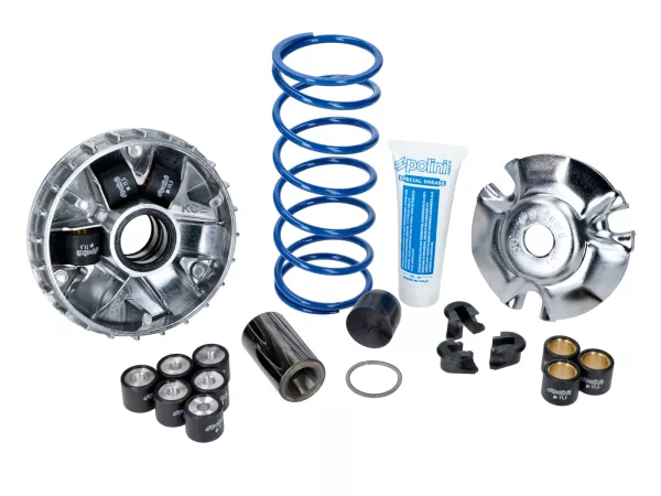 Variator -MALOSSI Multivar 2000- PEUGEOT Django 150, LXR 125, Tweet 125, SCOMADI TT125, SYM Euro MX 125, GTS 125, HD Evo I 125, Mio 115, Fiddle III 125, Symphony 125, ROYAL ALLOY GP 125, LAMBRETTA V 125 Special