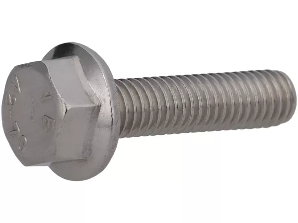 Flanschschraube mit Sechskantkopf M6 x 25