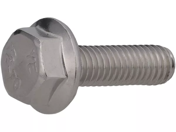 Flanschschraube mit Sechskantkopf M6 x 30