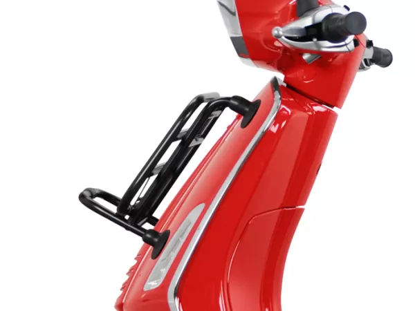 Gepäckträger klappbar vorne -PIAGGIO- Vespa Primavera 50 (ZAPC53100, ZAPC53200), Vespa Primavera 125 (ZAPM81100), Vespa Primavera 150 (ZAPM81200), Vespa Sprint 50 (ZAPC53101, ZAPC53201), Vespa Sprint 125 (RP8M82111, ZAPM81300, ZAPM81301) - schwarz matt